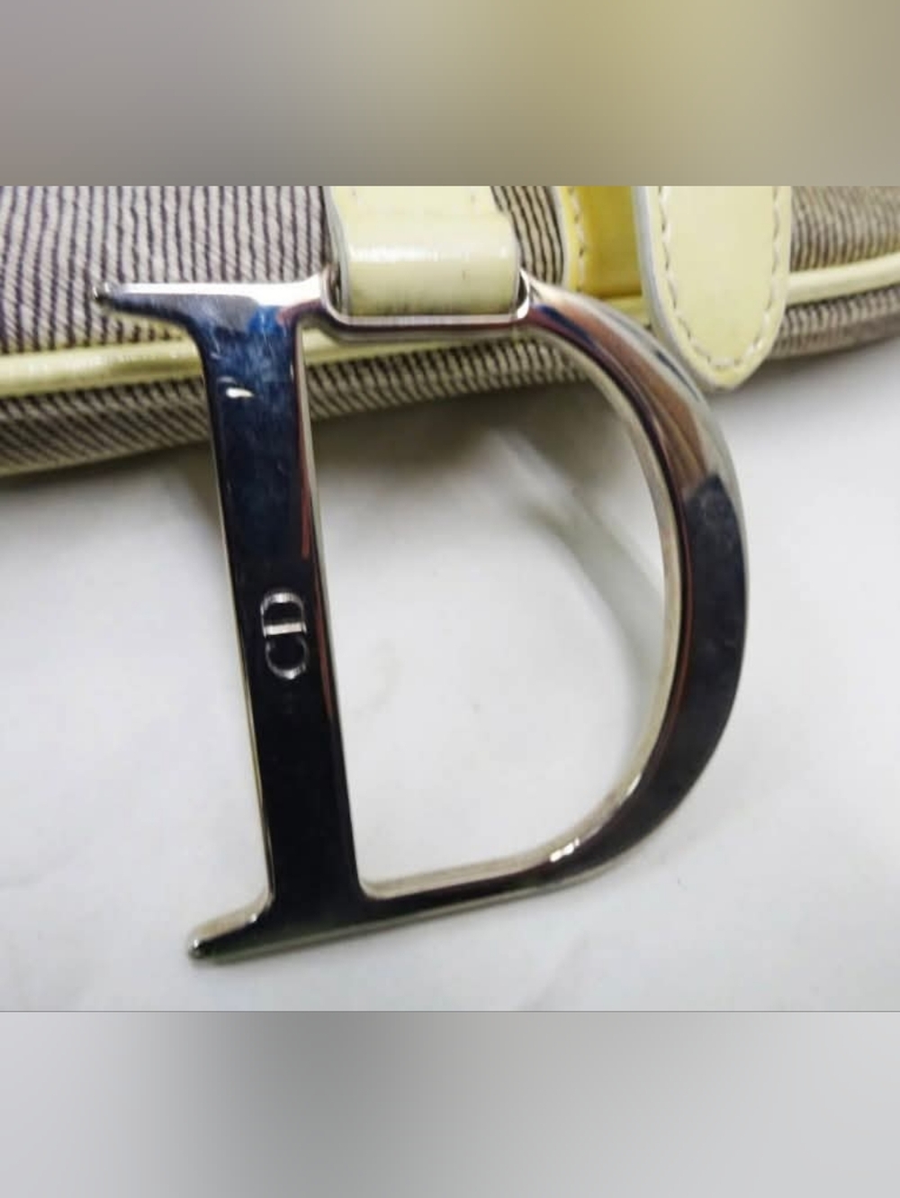 Dior Saddle - Picture 12 of 12